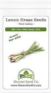 West Indian Lemongrass Seeds for Home Gardening - 100+ Non-GMO, Aromatic Herb Seeds for Healthy Cooking and Tea