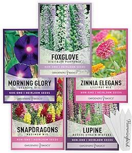 Hummingbird Seeds for Planting Outdoors Flower Seeds (5 Variety Pack) Zinnia, Foxglove, Lupine, Morning Glory, Snapdragons Varieties for Bees, Pollinators Wildflower Seed by Gardeners Basics