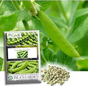 Sugar Ann Snap Pea Garden Seeds, 50+ Heirloom Seeds Per Packet, (Isla's Garden Seeds), Non GMO Seeds, Botanical Name: Pisum sativum, Great Gardener Gift