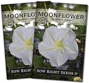 Sow Right Seeds - Moonflower (Ipomoea alba) Flower Seeds for Planting - Beautiful Flowers to Plant in Your Home Garden - Non-GMO Heirloom Seeds - Tall Annual Great for Cut Flowers - Wonderful Gift (2)
