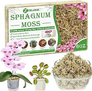 ZeeDix 6OZ Premium Sphagnum Moss for Plants, 8QT Natural Long Fibered Orchid Moss Sphagnum Peat Moss Bulk for Carnivorous,Orchid,Sarracenia,Succulent,Venus Fly Traps and Reptiles