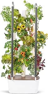 Gardyn 3.0 Hydroponics Growing System & Vertical Garden Planter | Indoor Smart Garden| Includes 30 Non-GMO Indoor Plants, Herbs & Vegetables & LED Grow Lights for Your Home Indoor Gardening System