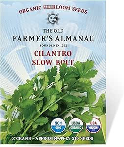 The Old Farmer's Almanac Heirloom Organic Cilantro Seeds (Slow Bolt) - Approx 180 Seeds - Certified Organic, Non-GMO, Open Pollinated, Heirloom, USA Origin