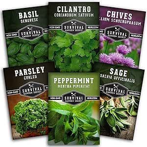 Hydroponics Herb Seed Collection for Planting - Curled Parsley, Sage, Chives, Peppermint, Cilantro & Genovese Basil Herbs for Any Indoor Gardening System- Non-GMO Heirloom Survival Garden Seeds
