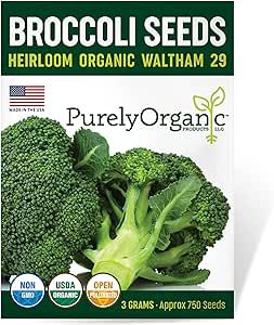 Purely Organic Products Purely Organic Heirloom Broccoli Seeds (Heirloom Waltham 29) Approx 750 Seeds