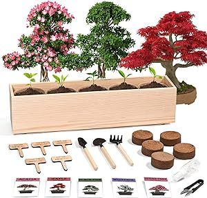 Meekear 5 Bonsai Tree Seeds with Complete Growing Kit & Wooden Flower Box Starter Kit, Great Potted Growing DIY Gift for Adults