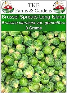 TKE Farms - Brussel Sprout Seeds for Planting, Long Island Improved, 3 Grams ? 750 Seeds, Brassica oleracea VAR. gemmifera, Qty 1