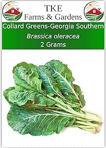 TKE Farms - Georgia Southern Collard Green Seed for Planting, 2 Grams ? 225 Seeds, Brassica oleracea