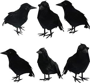 DAZZLE BRIGHT 6Pack Halloween Black Feathered Crows Decor, Holiday Decoration for Indoor Outdoor Home Yard Garden Party Carnival Supplies